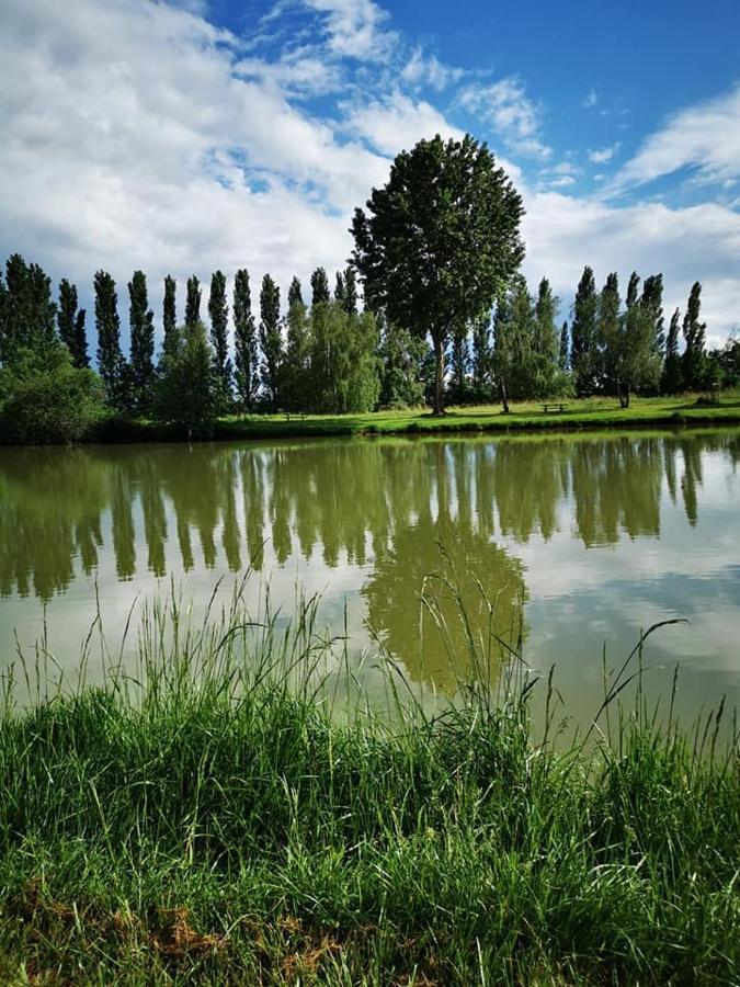 L'Oasis Des Dombes Ambérieux-en-Dombes Exterior foto